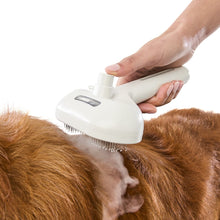 Pet Steamer Comb