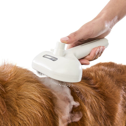 Pet Steamer Comb