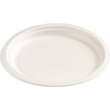 Armada Evergreen Sugarcane Pulp Plates 20 pack