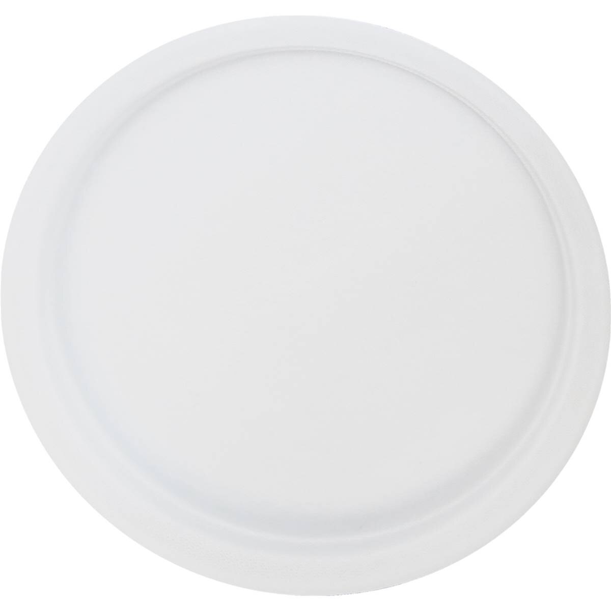 Armada Evergreen Sugarcane Pulp Plates 20 pack