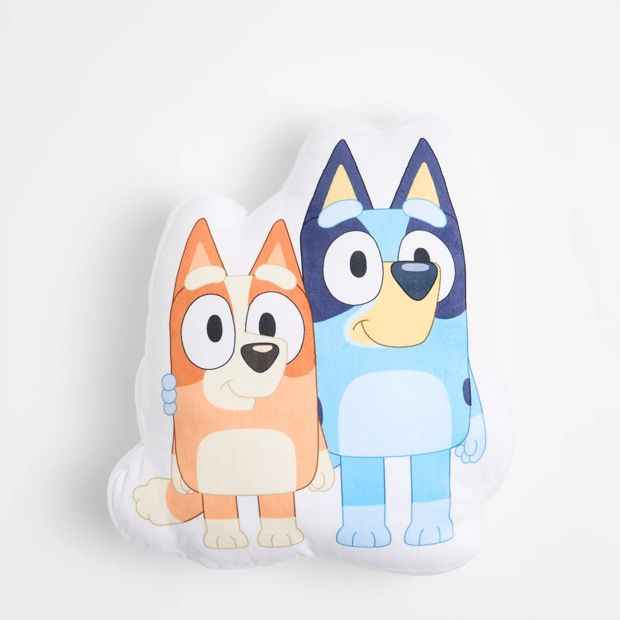 Bluey Character Cushion