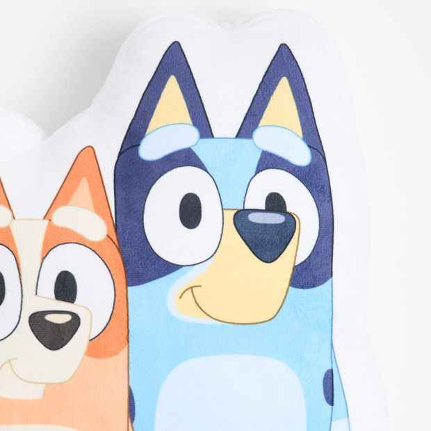 Bluey Character Cushion