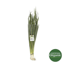 COLES ORGANIC:SPRING ONIONS:.:1 BUNCH