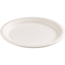 Armada Evergreen Sugarcane Pulp Oval Plates 10 pack