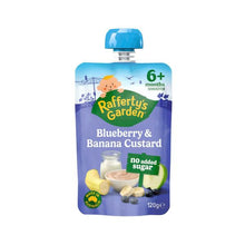 RAFFERTY'S GARDEN BLUEBERRY & BANANA NAS CUSTARD 6+ MONTHS 120G