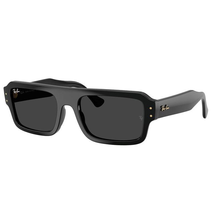Ray-Ban RB4454F 667748 Men's Sunglasses