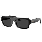Ray-Ban RB4454F 667748 Men's Sunglasses
