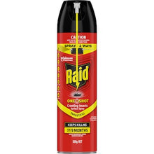 Raid One Shot Crawling Insects Surface Spray 300g