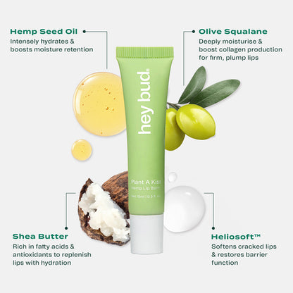 Hey Bud Lip Balm Natural 15mL