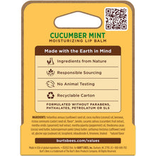 Burts Bees Cucumber Mint Moisturising Lip Balm 4.25g - GimmeNow