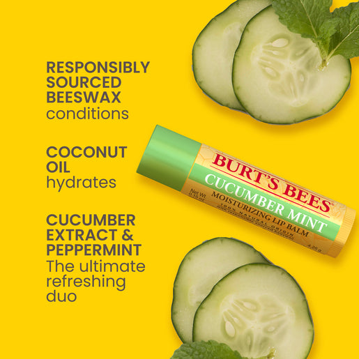 Burts Bees Cucumber Mint Moisturising Lip Balm 4.25g - GimmeNow