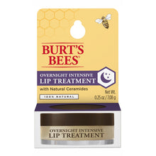 Burts Bees Overnight Intensive Lip Treatment 7.08g - GimmeNow