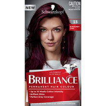 Schwarzkopf Brilliance 23 Burgundy Chic 1 Kit - GimmeNow