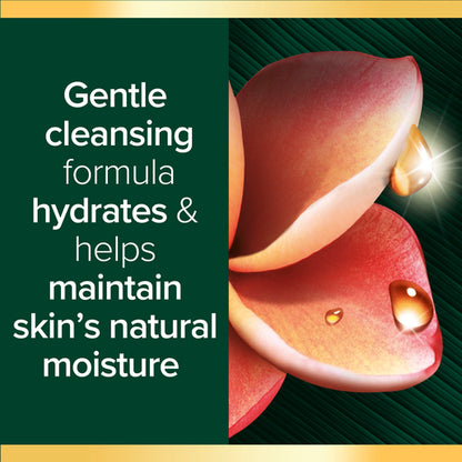 Palmolive Luminous Oils Body Wash Far North Queensland Frangipani & Coconut 750mL - GimmeNow