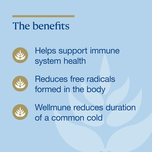 BIOCEUTICALS ArmaForce Daily Protect 60 Tablets