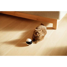 Enabot EBO Interactive Pet & Family Companion