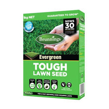 Tough Lawn Seed