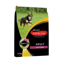 Adult Active With Beef Dry Dog Food