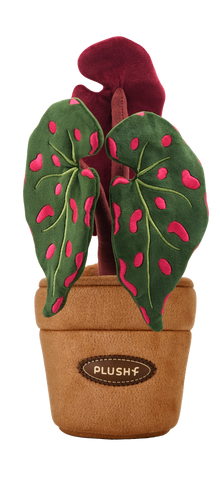 PlushWoods Begonia Negrosensis Plant Plush With Pot 22cm