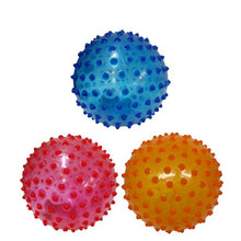 Nobby's Playball 23cm - Assorted*