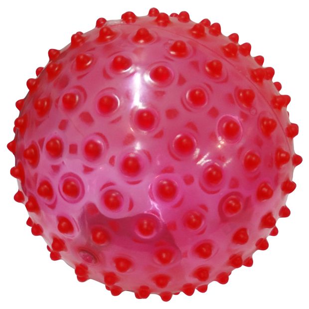 Nobby's Playball 23cm - Assorted*