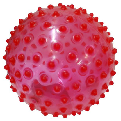 Nobby's Playball 23cm - Assorted*