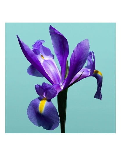 Signature Eau de Parfum