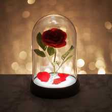 Beauty & The Beast - Enchanted Rose Light
