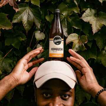 Remedy Kombucha Ginger Lemon 330mL