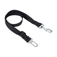 Pet Car Tether