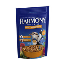 Dried Mealworms