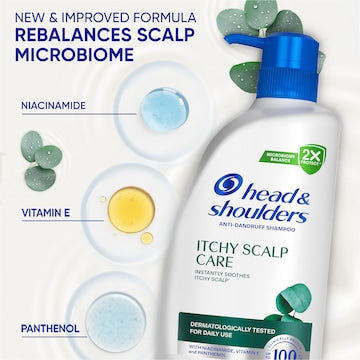 Head & Shoulders Itchy Scalp Care Anti Dandruff Shampoo 850mL