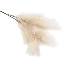 Artificial Pampas Grass Natural