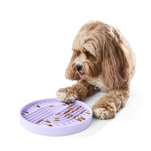 Pet Silicone Feeding Plate - Lilac
