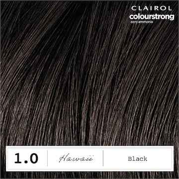 Clairol Colour Strong Hair Dye Black 1.0 each