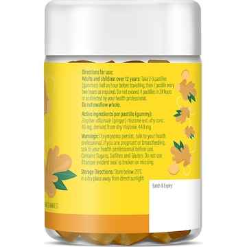 Life Botanics Nausea Relief Gummies Ginger Lemon Flavour 60 pack