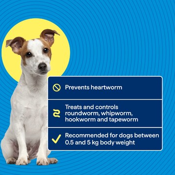 Total Care Heartwormer & Allwormer Protection Tablets For Puppies 2 pack