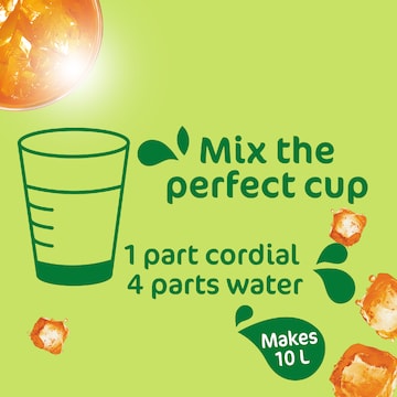 Golden Circle Zero Sugar Cordial Fruit Cup 2L