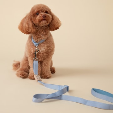Oscar & Friends Everyday Dog Lead each