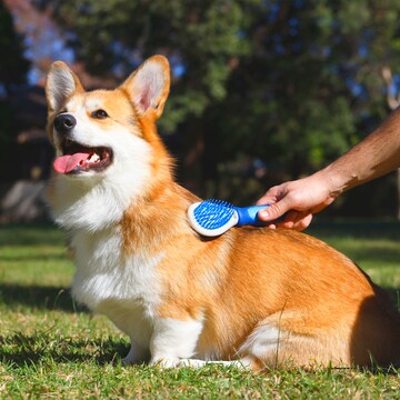 Purina Total Care Brush & Shine each