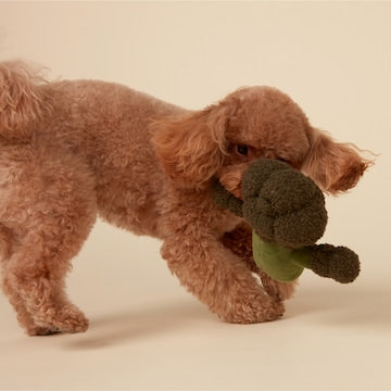 Oscar & Friends Plush Broccoli Dog Toy each