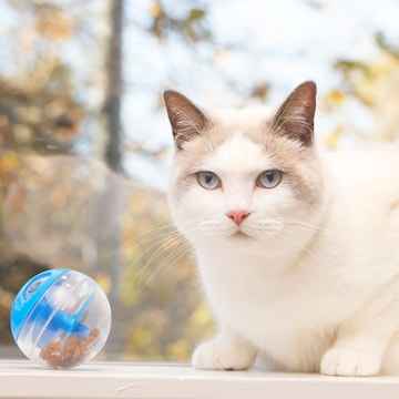 Purina Total Care Treat Ball Cat Toy each