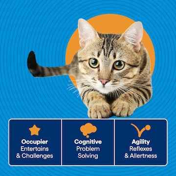 Purina Total Care Treat Ball Cat Toy each