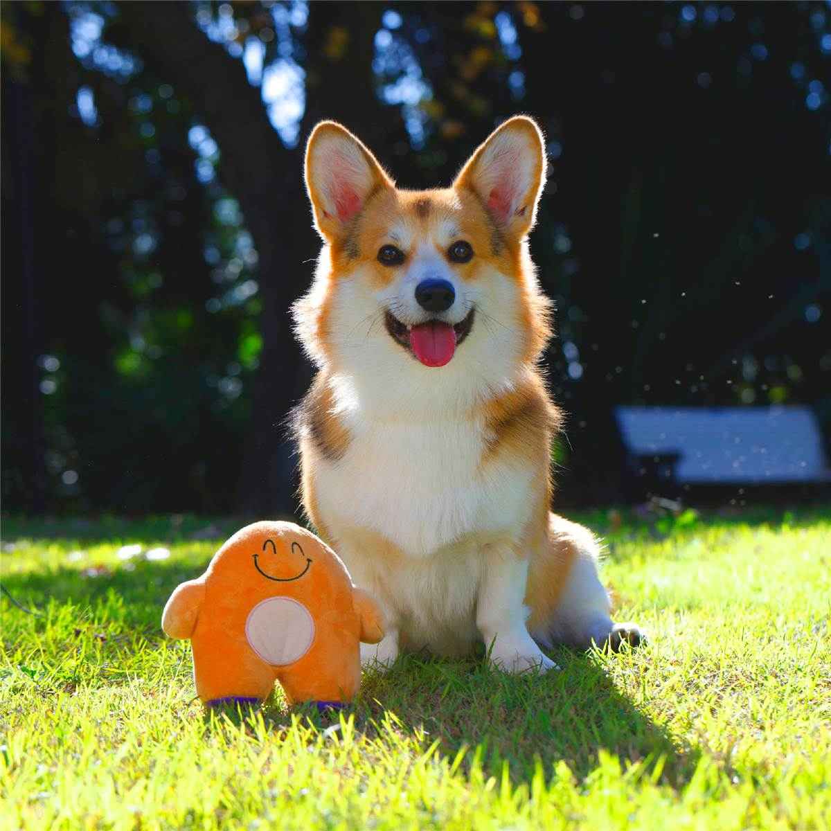 Purina Totalcare Cuddle & Squeak Plush Dog Toy each