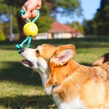 Purina Total Care Tug Rope Dog Toy each