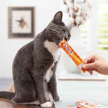 Churu Puree Cat Treats Chicken 56g