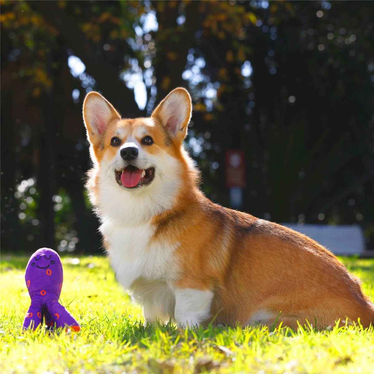 Purina Total Care Octopus Rope Plush Dog Toy each