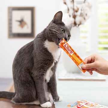 Churu Tuna Puree Cat Treats 4 pack