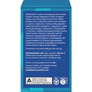 Famous Nutrition Creatine + Amino Hydrate Energy Mango Passion 192g