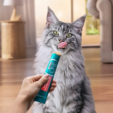 Purina One Immune Support Cat Treats Puree With Tuna 14g x 4 pack